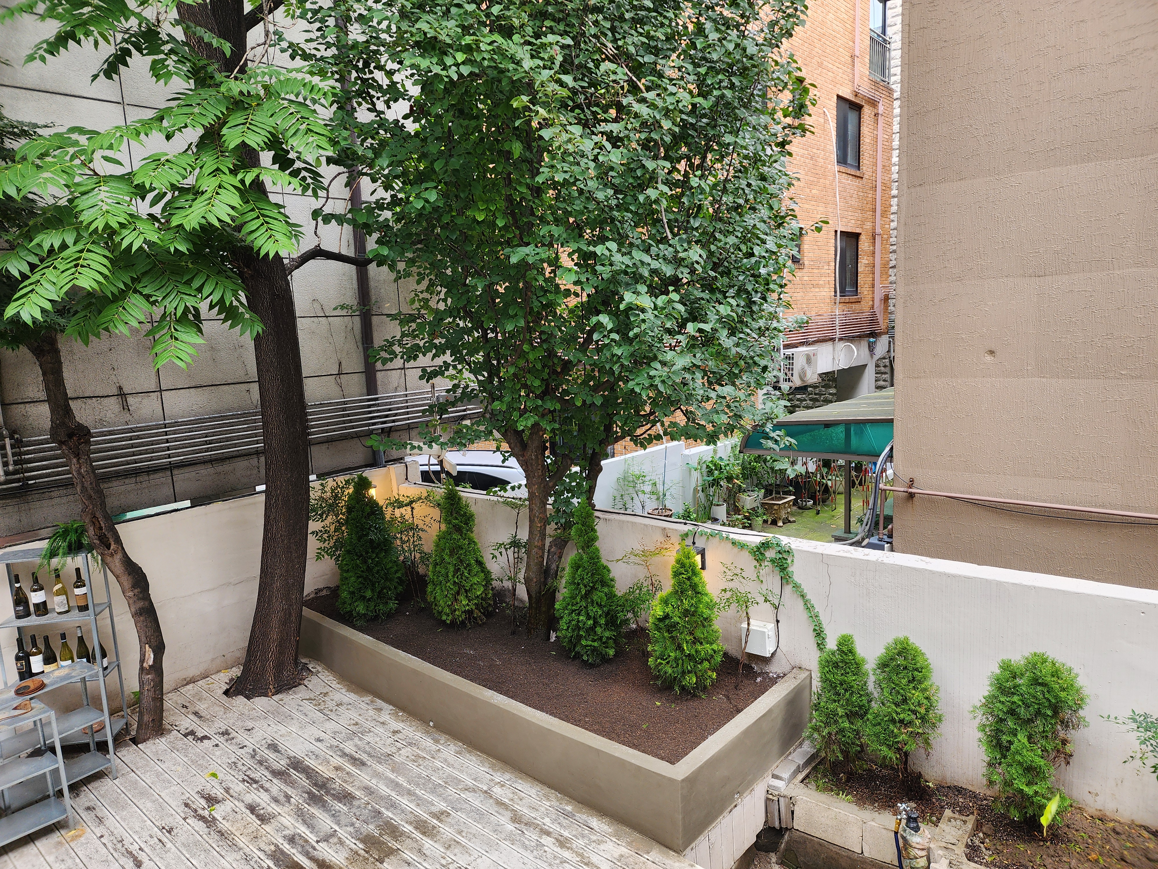 2025 서울 송파구 조경 복구