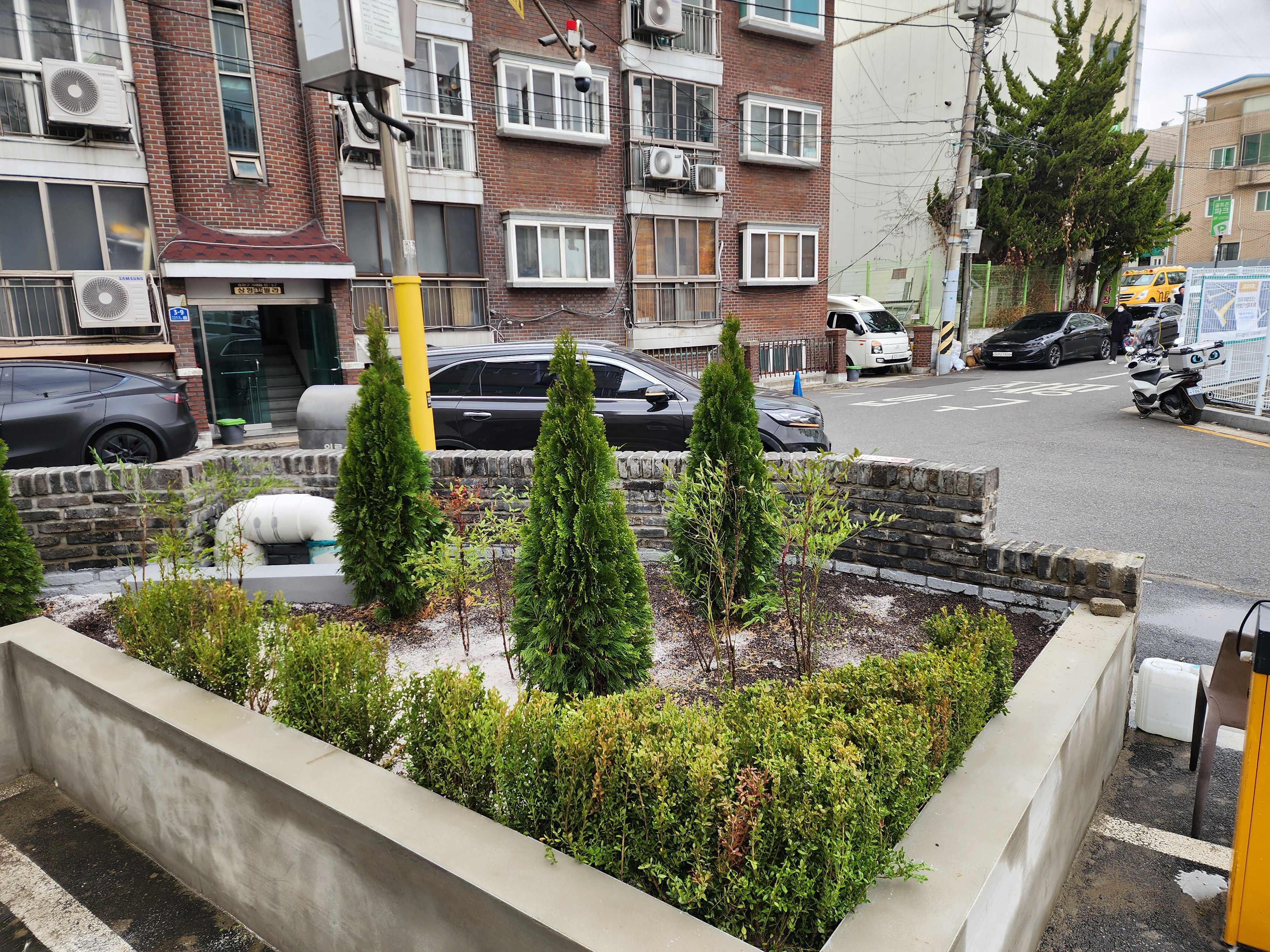 2025 서울 송파 조경 복구