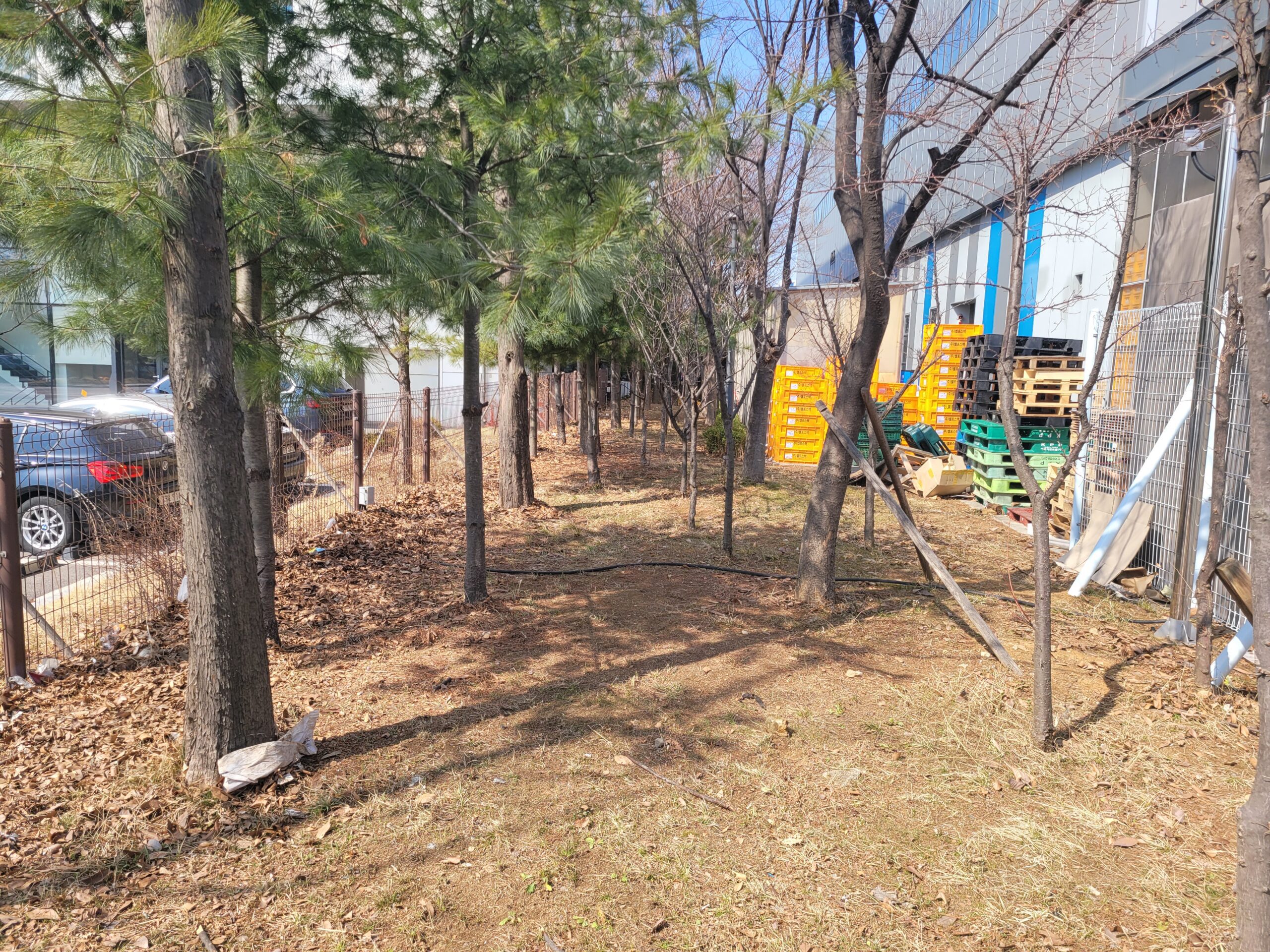 25.03.08 인천 송도 회사 조경 관리