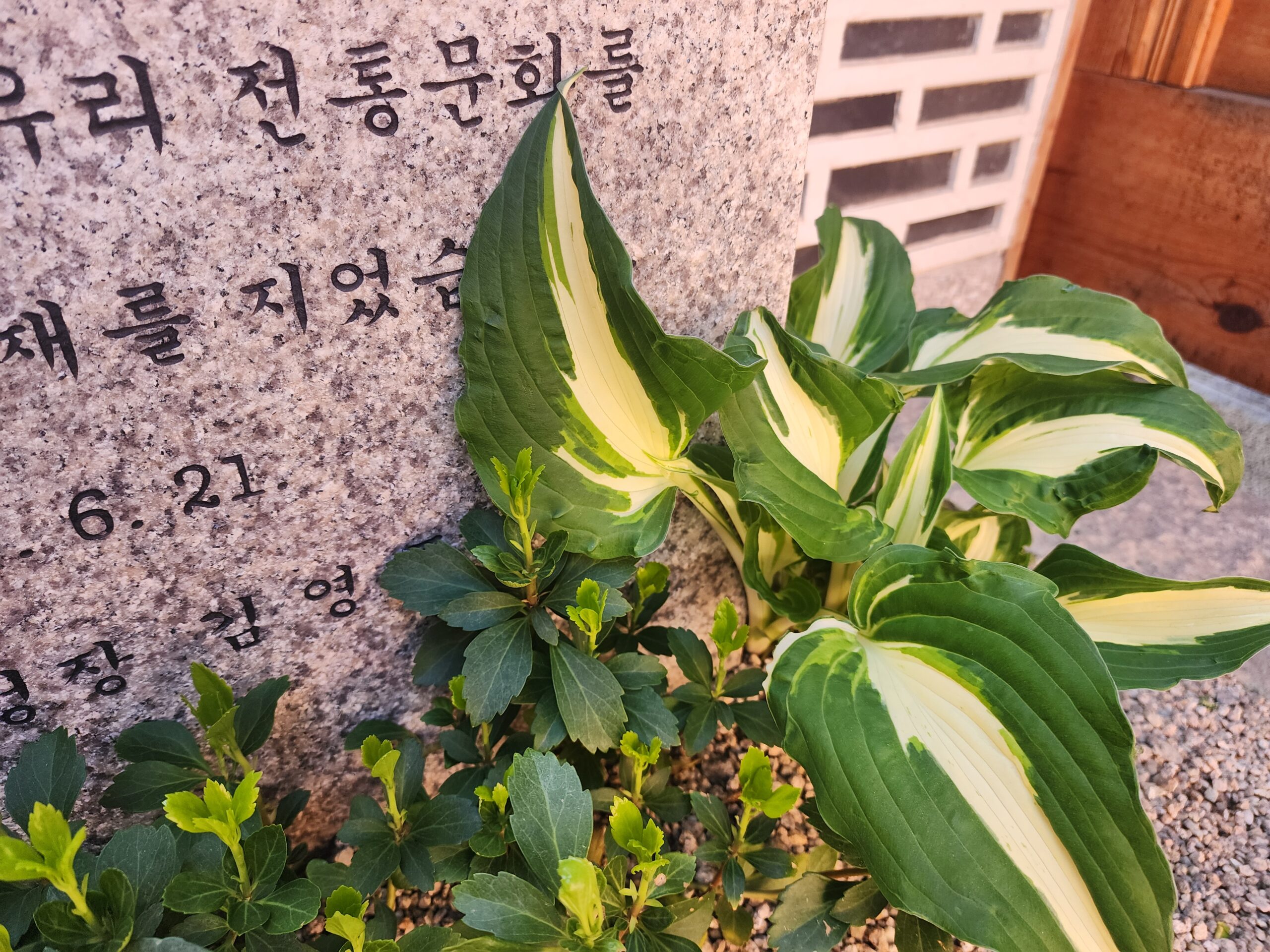 25.04 서울 종로 문화 공간 화단 조경