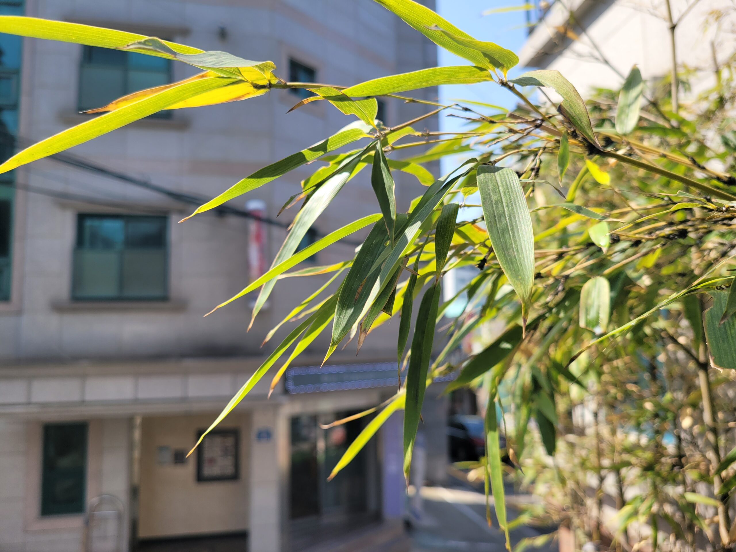 25.04 서울 관악 빌라 화단 관리