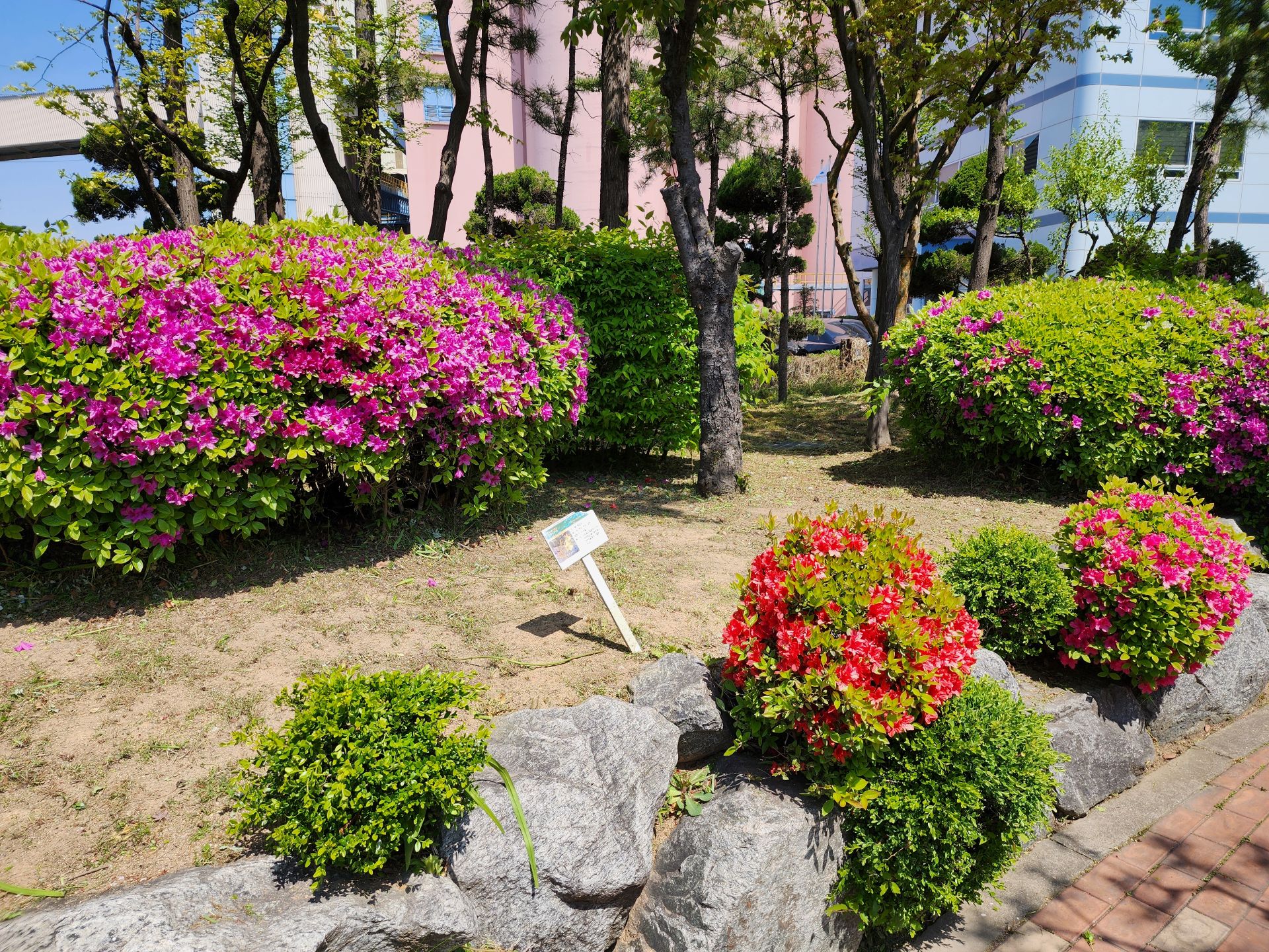 25.04 인천 북성 공장 정원 조경 관리