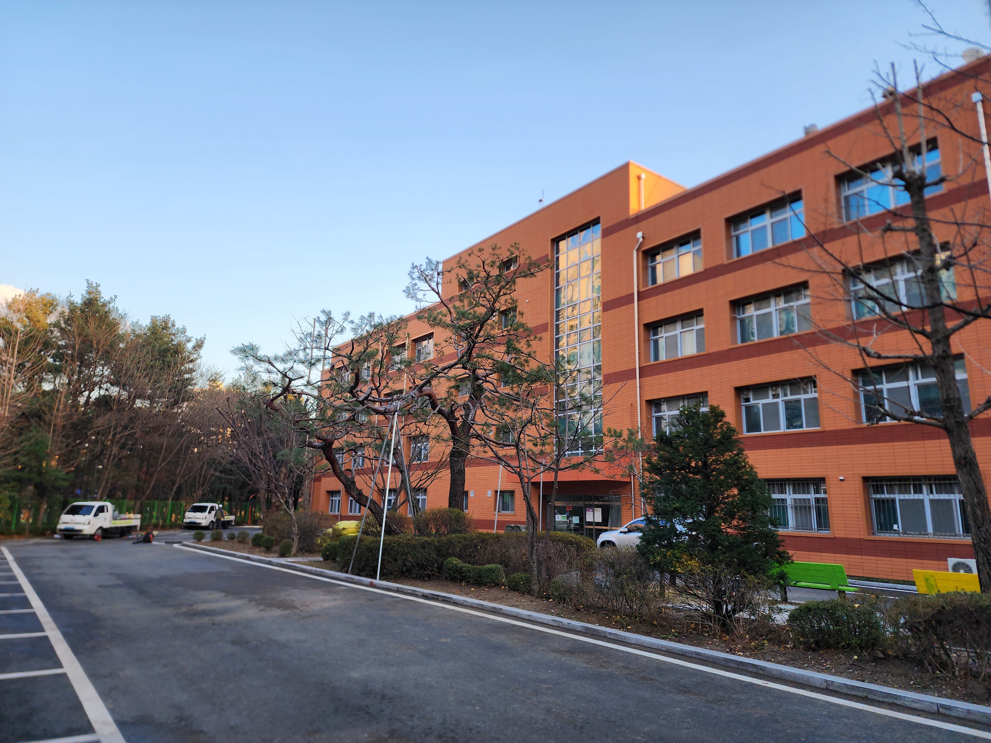 2025 경기 성남 수목 전지