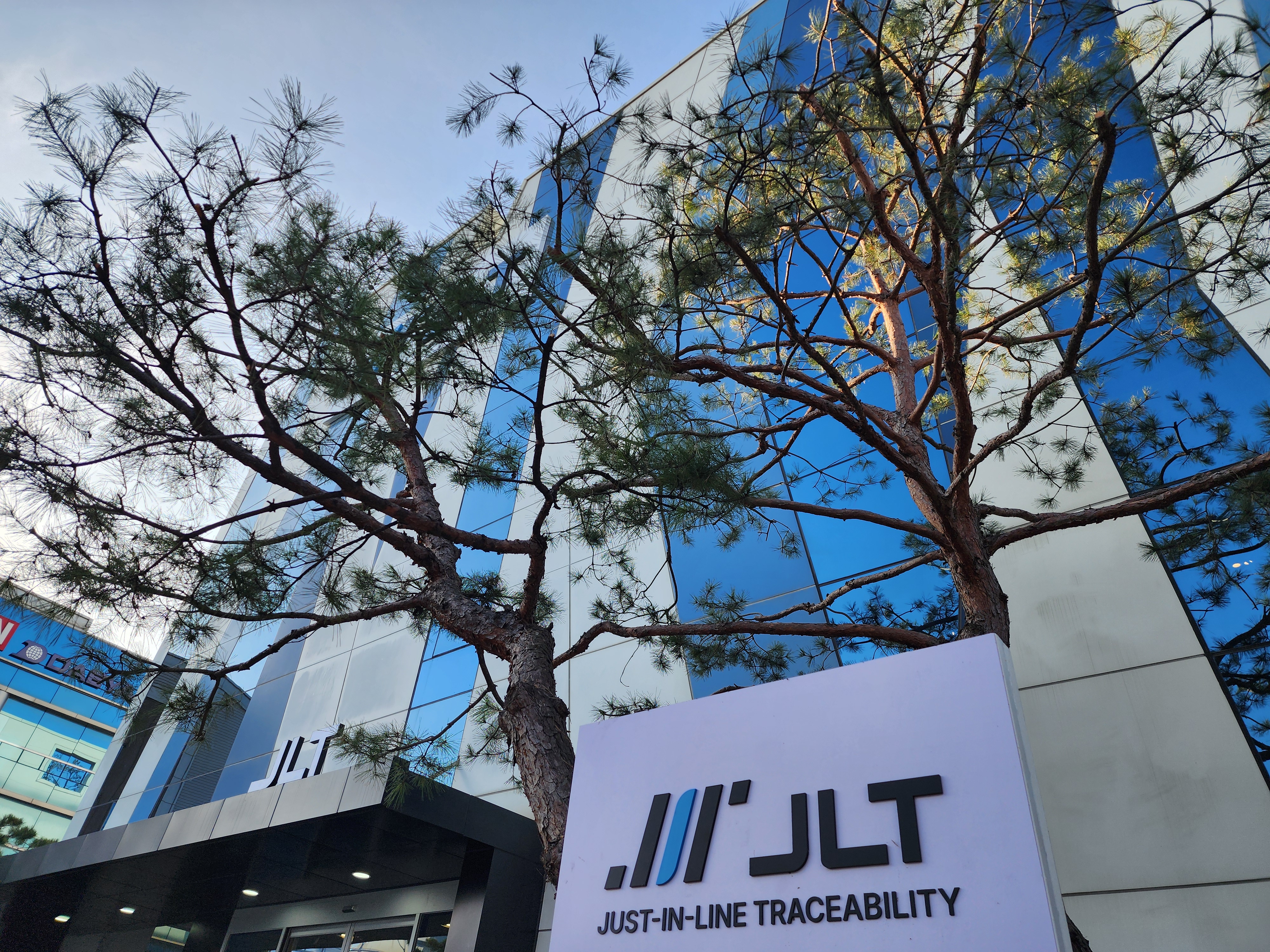 2025 인천 송도 소나무 전지